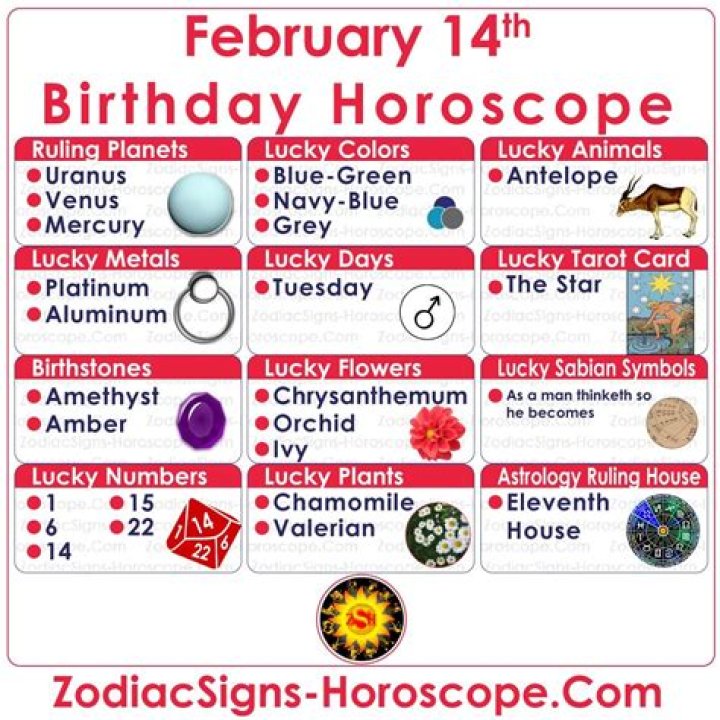 February 14 Zodiac Horoscope Birthday Personality