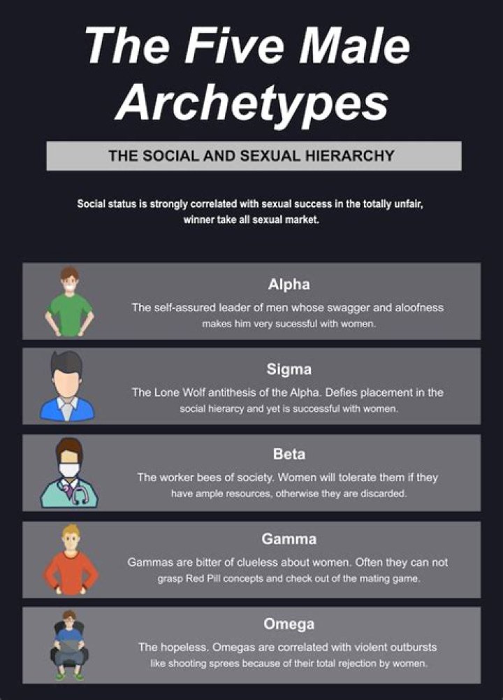 FileThe Five Male Archetypes.svg WikiMANNia Sigma male, Archetypes