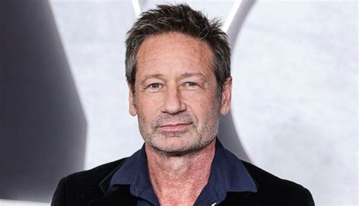 Find Out About David Duchovny's Son