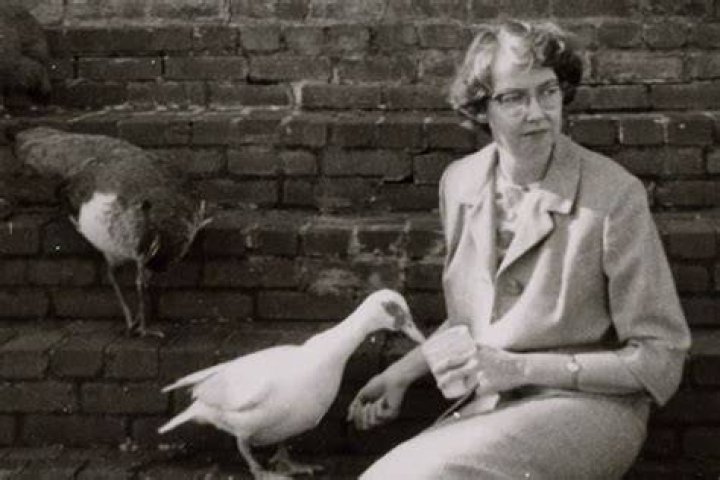 Flannery O'Connor A writer of grace Angelus News