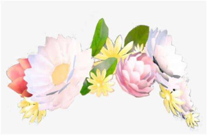 Flower Crown Filter Transpa Flowercrown Snapchat Snapchatfilter