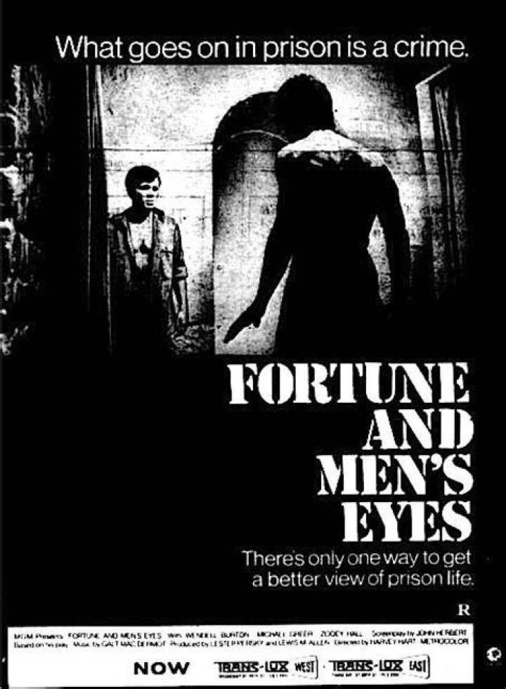 Fortune and Men's Eyes (1969)