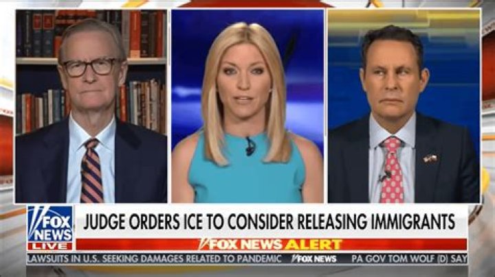 Fox News Host Hopes Trump's New Immigration Ban Doesn't Affect Nannies