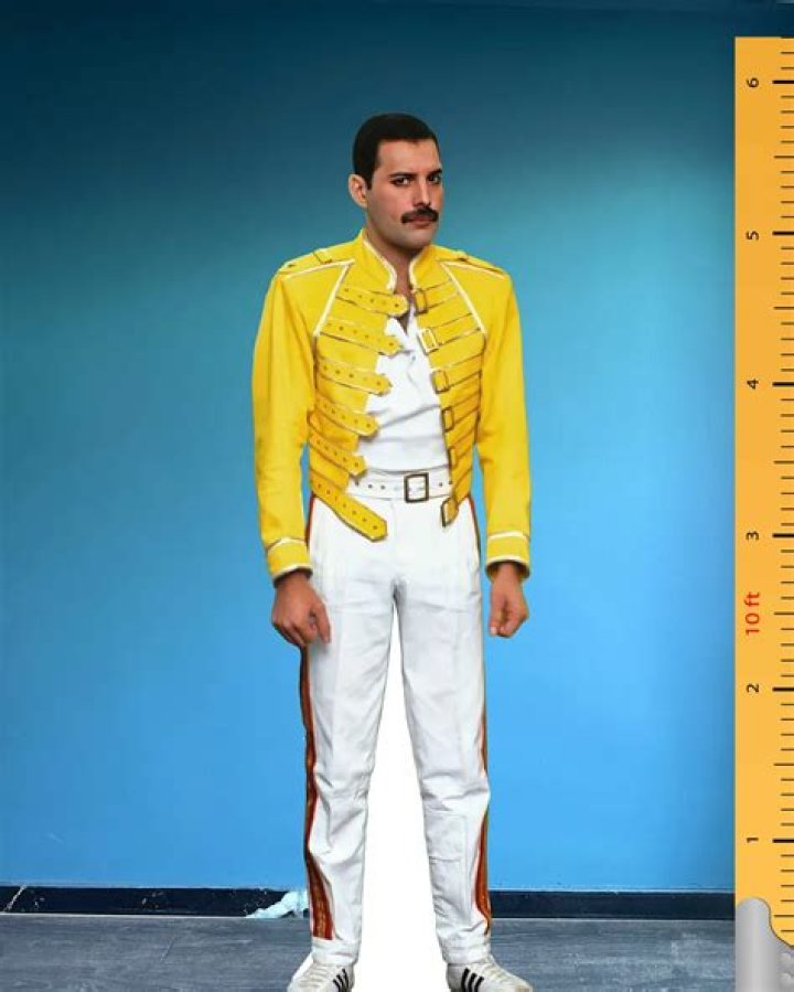Freddie Mercury Farrokh Bulsara ,5 September 1946 24 November 1991