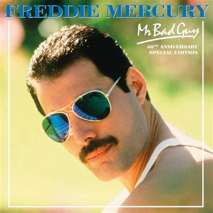 Freddie Mercury is Available for Adoption at Union County Humane Society