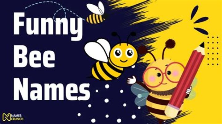 Funny Bee Names (250+ Buzzworthy Ideas) Names Crunch