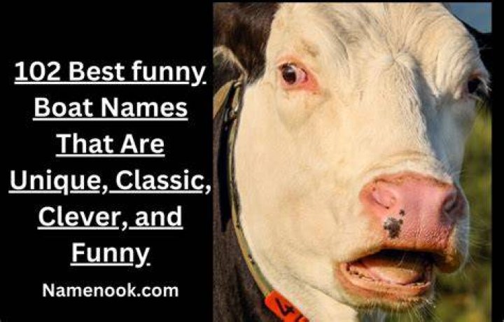 Funny Boat Names That Are Barely Legal 50 Hilarious Boat Names