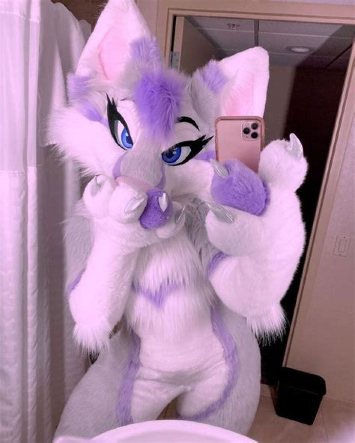 Furries boobs