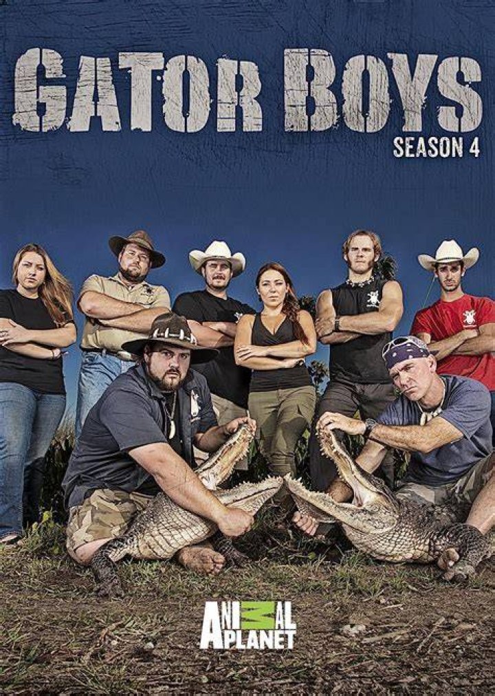 Gator Boys Season 4 Amazon.co.uk DVD & Bluray