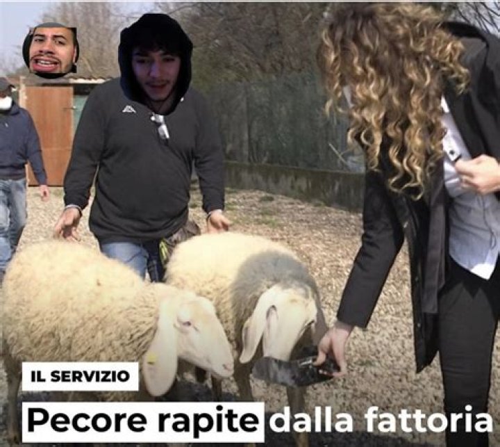 gianko che fai?!? non fatelo floppare pls... r/delux