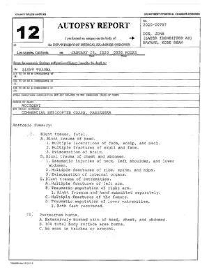 Gigi Autopsy Report Pdf FingalAthol