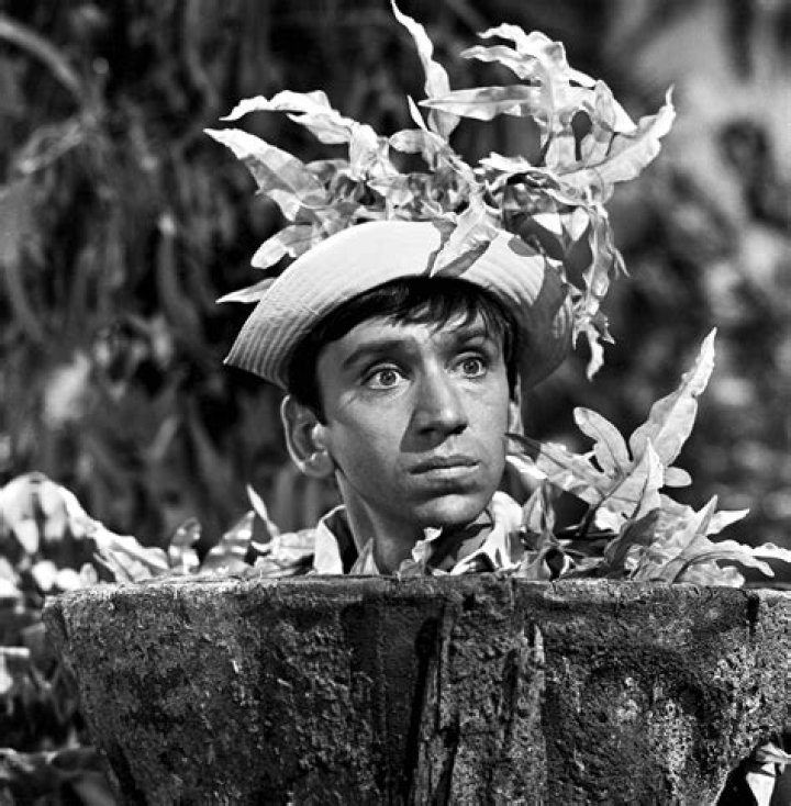 Gilligan's Dreams The Other Side of the Island by Dreama Denver