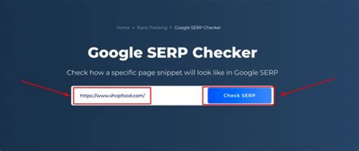 Google SERP Checker Find Site Position & Competitors ☑