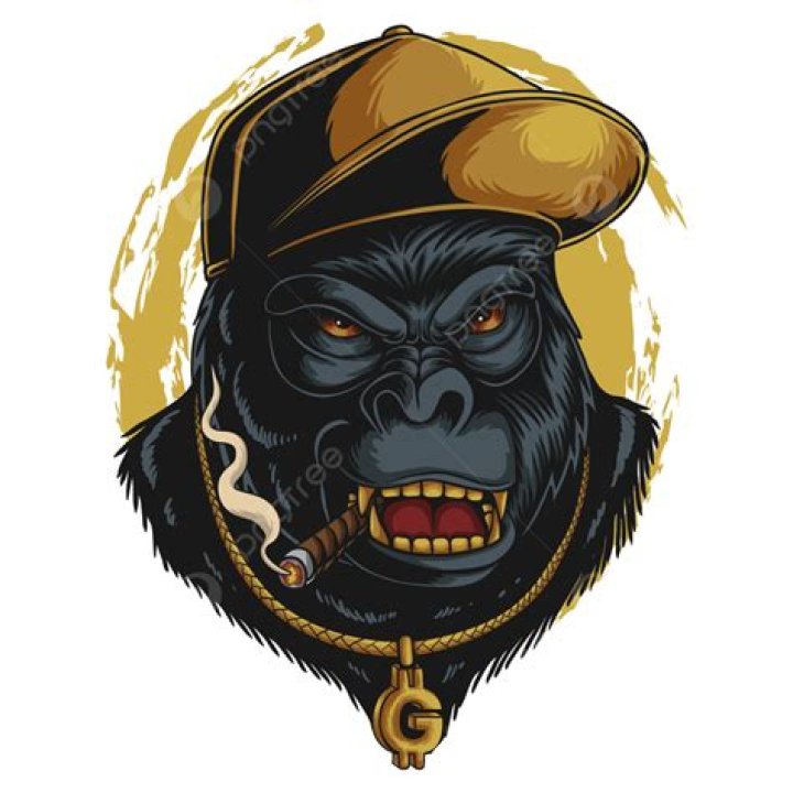 Gorilla Hip hop vector illustration PNG Images EPS Free Download