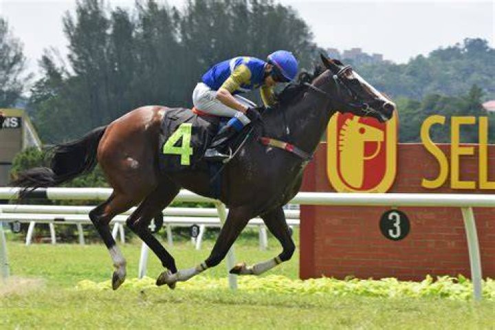 GREATEST ALL TIME Selangor Turf Club