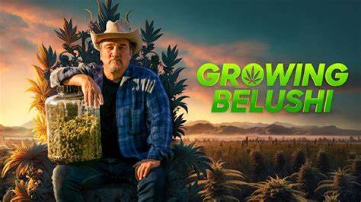 Growing Belushi Discovery Series Follows Jim Belushi's Legal Cannabis