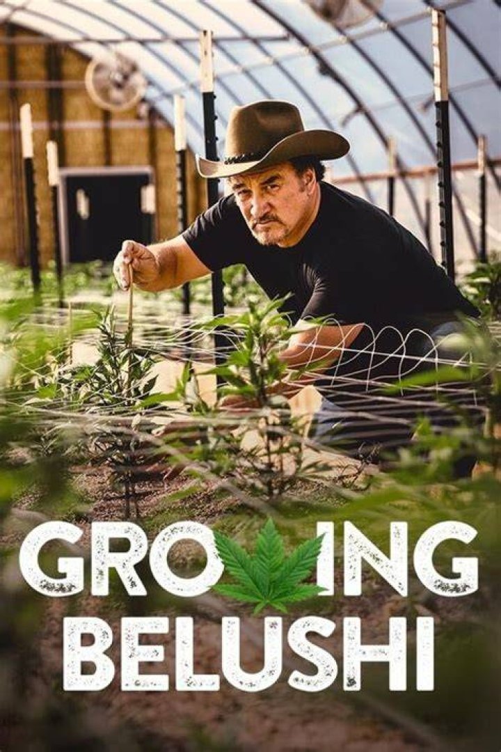 Growing Belushi New Season Release Date on Discovery? &bull; NextSeasonTV