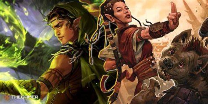 HalfElf 5e HalfElf DnD Playable Race Guide Dungeon Mister