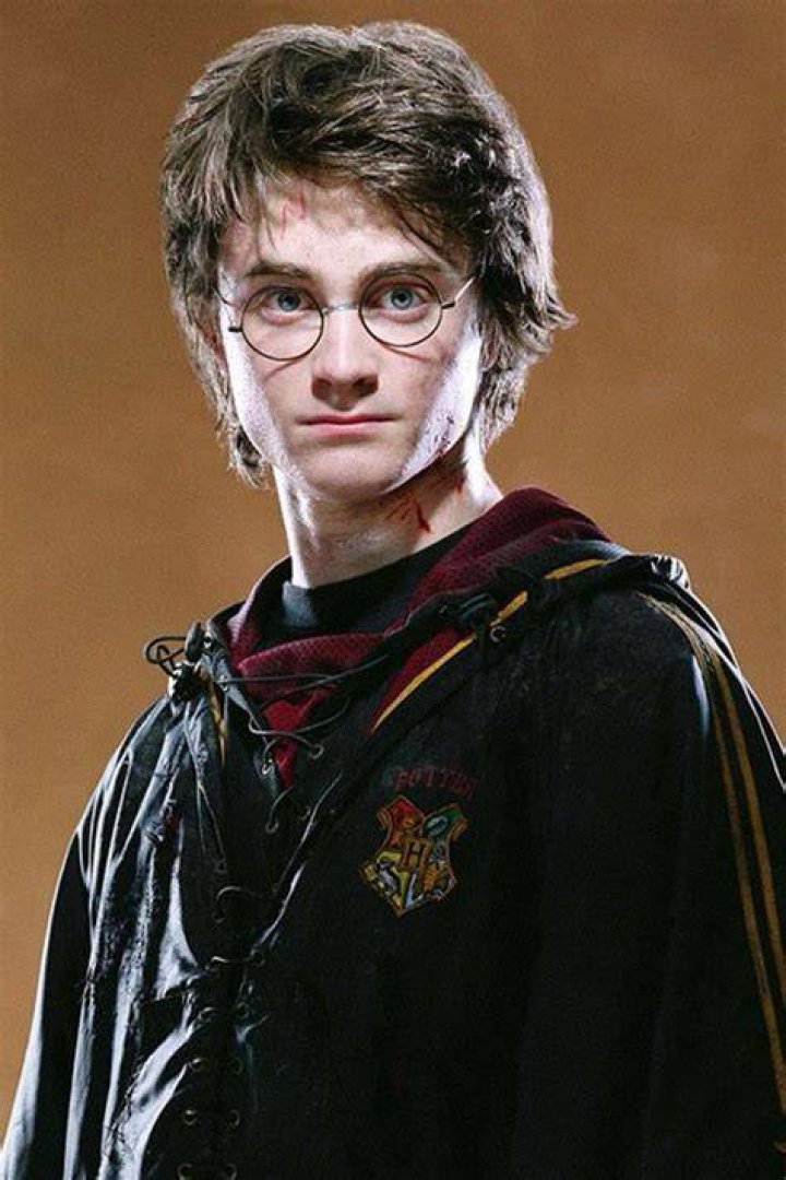 Harry Potter fourth year the Goblet of Fire Harry potter goblet