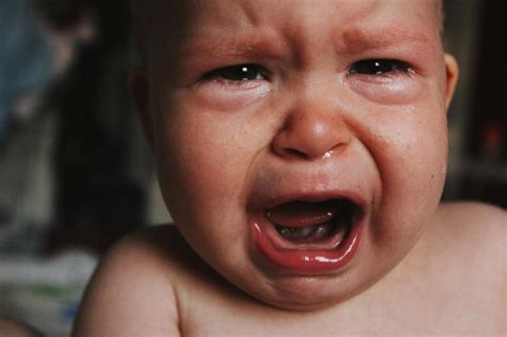 He Makes Babies Cry, Grown Women Swoon, and Children... Laugh! Sam