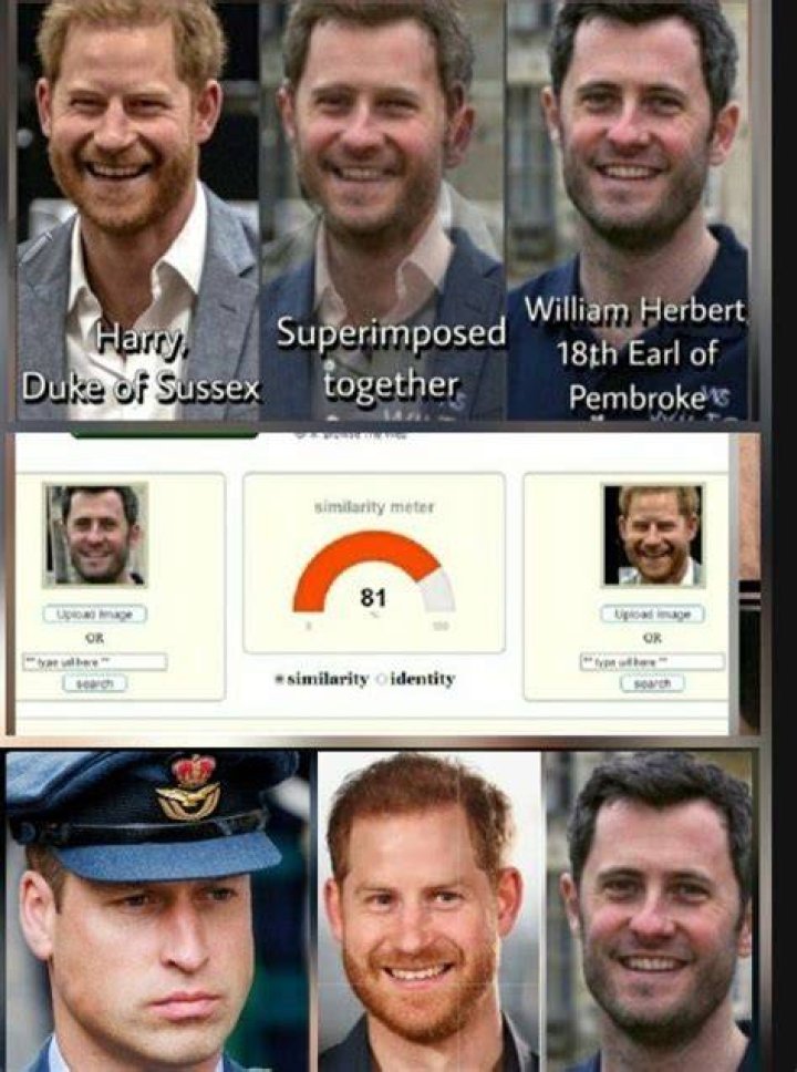 Henry Herbert: The 17th Earl Of Pembroke And His Connection To Diana