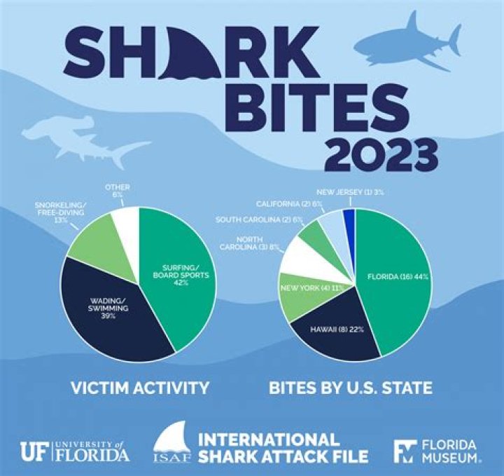 Hilton Head Shark Attacks 2024: What You Need To Know