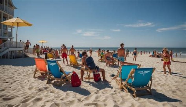 Hilton Head Shark Attacks Explained