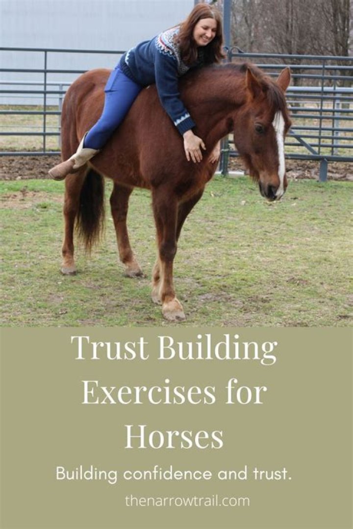 Horse Exercises, Dream Guy, Big Bang Theory, Hottest Celebrities