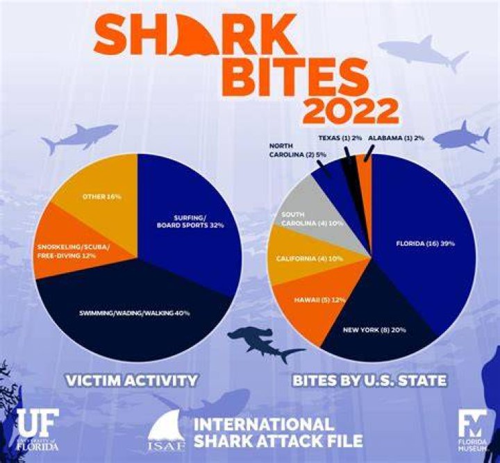 How Many Shark Attacks In Hilton Head 2023 South Carolina? SarkariResult