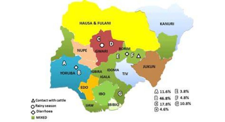 How many tribes in Nigeria? Legit.ng