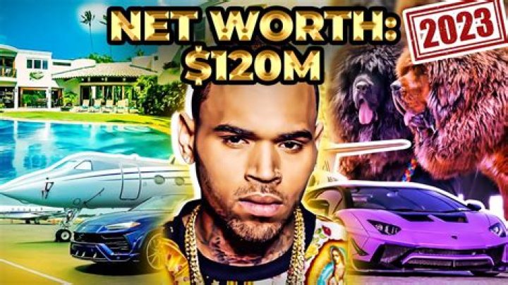 How Much Money Chris Brown Makes From Music Net Worth Naibuzz