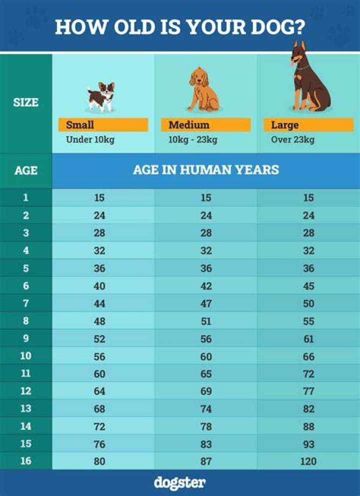 How Old Is Melly? - Ultimate Age Guide