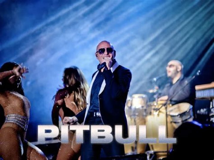 How Pitbull Went from Miami Street Rapper to Global Brand Ambassador Vanity Fair