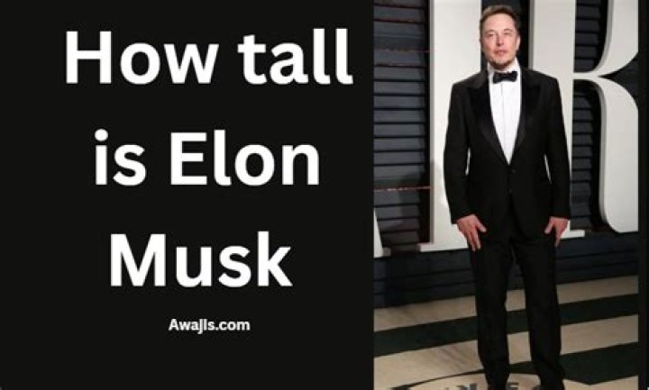 How tall is Elon Musk? Real Age, Weight, Height in feet inches