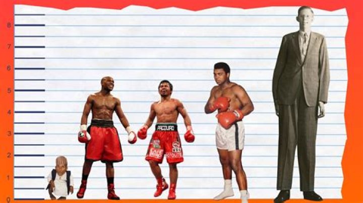 How Tall is Floyd Mayweather Jr.