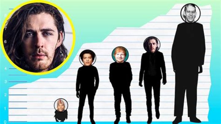 How Tall Is Hozier? Height Comparison! YouTube