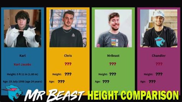 How tall is Mr Beast? AnswerReddit Geeks Around Globe