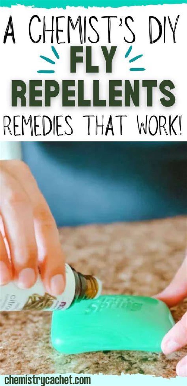 How to Repel Flies with Pinesol The Homespun Hydrangea