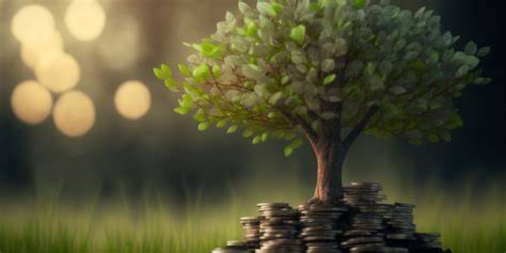 I Pay My Bills, My Bills Are Paid: A Journey To Financial Freedom