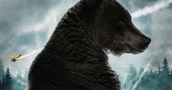 [Image 103281] Cocaine Bear Know Your Meme