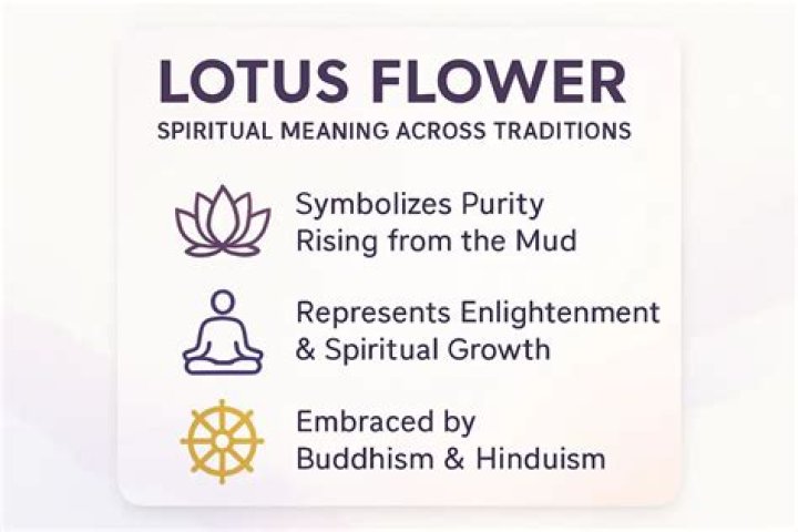 Importance of the Lotus Flower in Chinese Culture