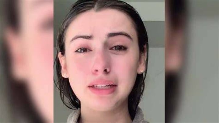 Ines M Roml, adorable 19yearold Spanish TikTok star, bullied