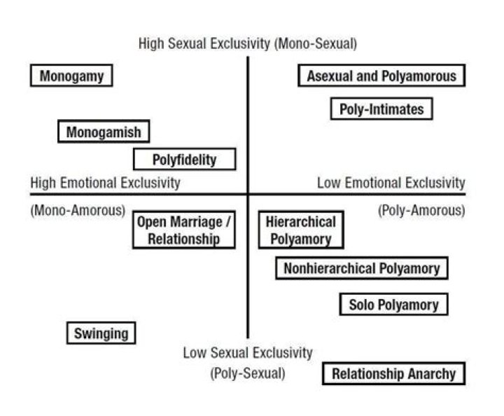 Infomatic Diagram of NonMonogamy The Occasional Thoughts of Shane