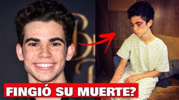 Introducir 41+ imagen cameron boyce spiderman Abzlocal.mx