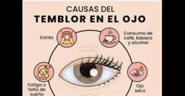 &iquest;Qu&eacute; son las P&aacute;ginas de resultados o SERPs? Nasert