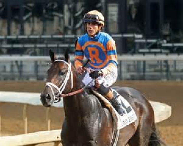 Irad ortiz wife tewscolor