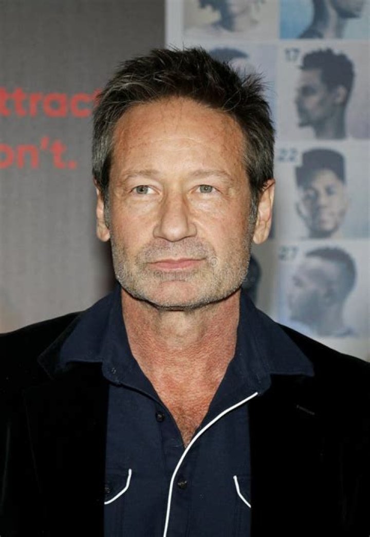 Is David Duchovny's Son An Actor? Discover The Truth