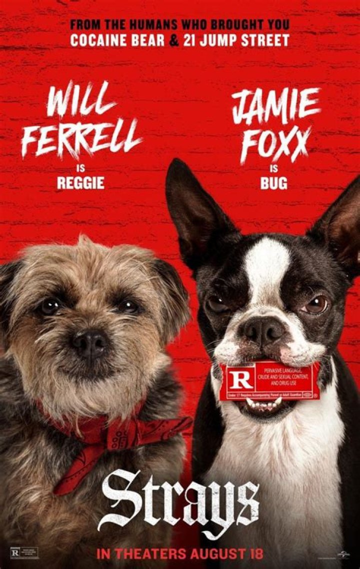 Is The Movie Strays Appropriate For Kids? A Comprehensive Guide For Parents