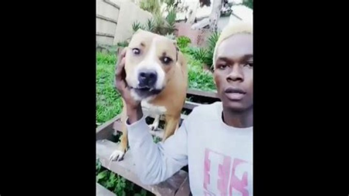 Israel Adesanya Dog Video An Athlete's Adorable Moment!