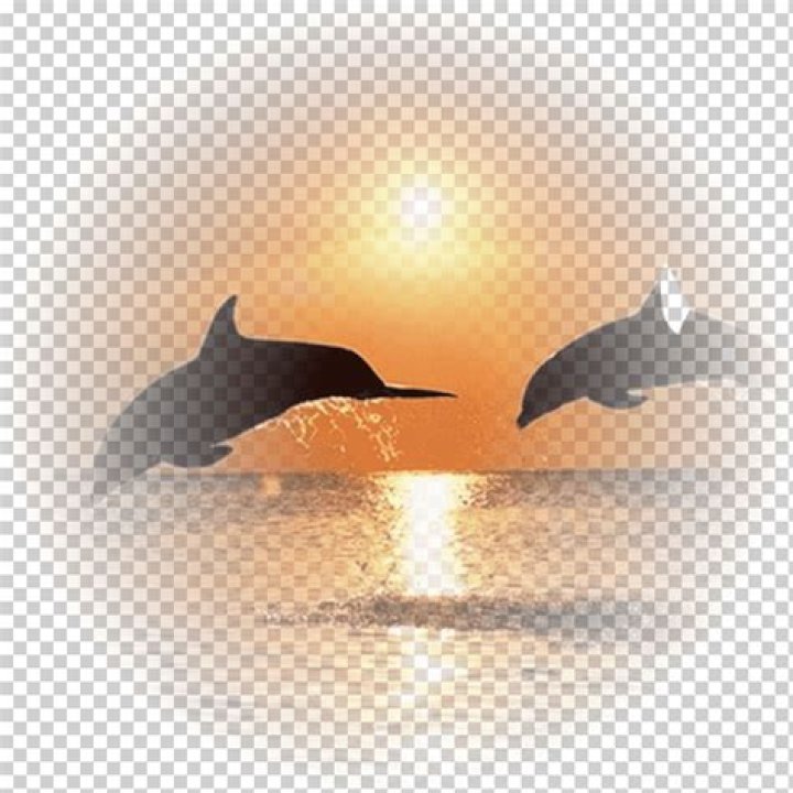 Istria Dolphin Pediatrics, Dr. Mirella Suarez Troccoli, MD, Dr. Ivette